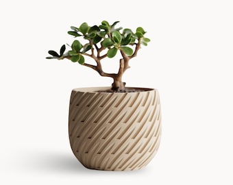 Jardinera minimalista de interior / Decoración escandinava, acabado mate