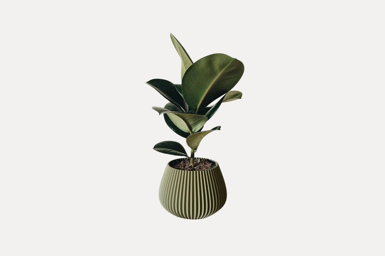 Olive Green Wavy Planter Minimalist Eco-friendly Planter Modern Home Decor Cactus and Succulent Indoor Plant Pot 3D printed Planter image 1