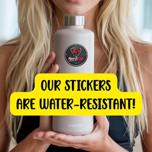 Fourth Wing Inspired Stickers, Water Resistant Vinyl, Set of 8
