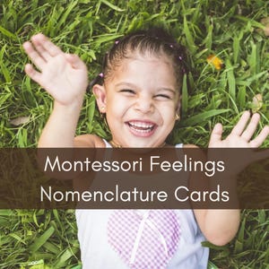 Tarjetas de nomenclatura de sentimientos Montessori / Aprendizaje emocional para estudiantes de primaria / Lección SEL / Conciencia emocional