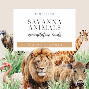 Schede di nomenclatura degli animali della savana Montessori / Lezione di schede di zoologia in 3 parti / Scienze primarie / Prima infanzia / Istruzione parentale