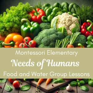 Może przedstawiać: Zbliżenie na różnorodne świeże warzywa, w tym brokuły, kalafior, pomidory, paprykę, marchew i bazylię. Tekst "Montessori Elementary Needs of Humans Food and Water Group Lessons" jest wyświetlany na zielonym i brązowym tle.