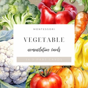 Vegetable Nomenclature Cards | Montessori 3-Part Learning Cards for Kids | Primary | Early Childhood | Toddler | Homeschool