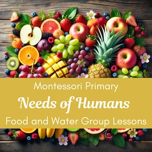 Explorando las necesidades de los seres humanos: comida y agua / Currículo Montessori / Primaria / Primera infancia