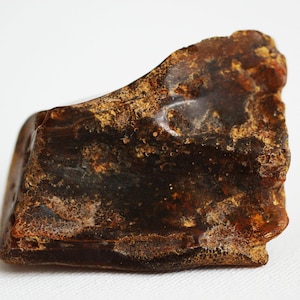 May include: A rough-hewn piece of amber, showcasing a rich, dark brown color with lighter, golden-brown inclusions. The surface has a textured appearance, with visible patterns and variations in tone. The amber is irregularly shaped, with a natural, organic form.