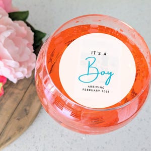 Personalized Baby Shower Drink Toppers: Edible Wafer Paper Garnish
