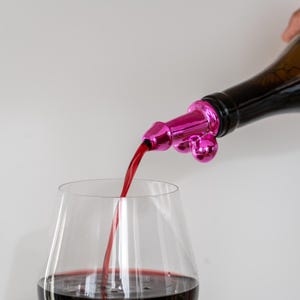 Bottle Pourer! - Fun Pink Bachelorette/ Bachelor Pink Bachelorette Party/ Bachelor Party Decor
