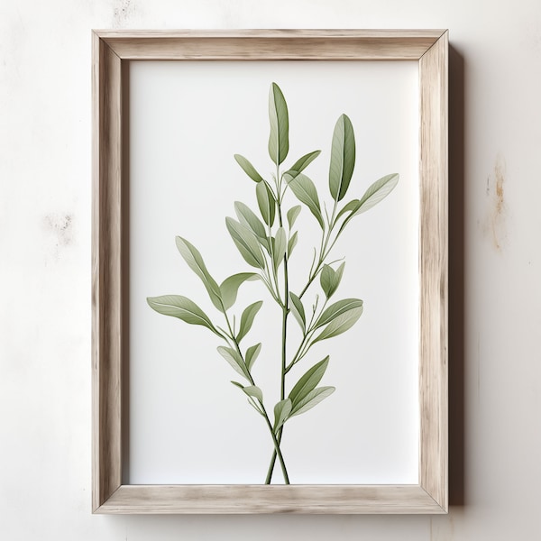 Salbei Pflanze Botanische druckbare Digitaldruck Zeitgenössische Wand Kunst Dekor Neutral Grüne Blätter Druck | 105