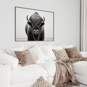 May include: A black and white photograph of a bison looking directly at the camera. The photo is framed and hanging on a white wall above a white couch with brown throw pillows and a brown blanket.