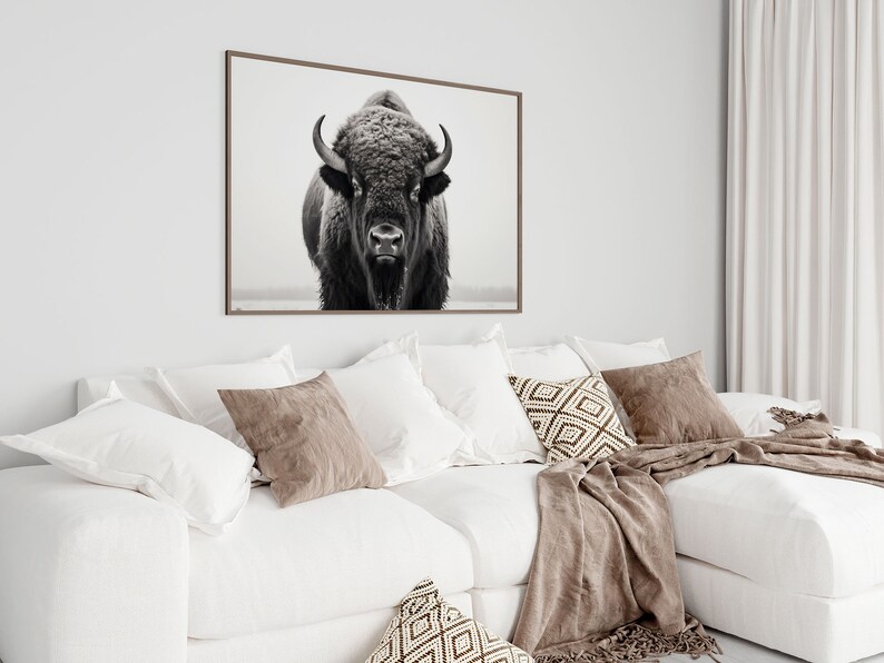 May include: A black and white photograph of a bison looking directly at the camera. The photo is framed and hanging on a white wall above a white couch with brown throw pillows and a brown blanket.