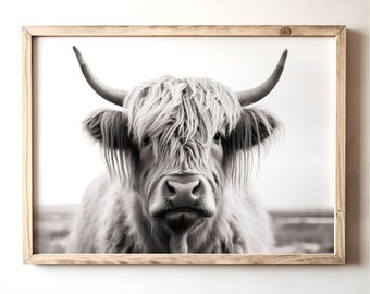 Scottish Highland Cow Portrait: Vintage Farmhouse Photo Print (Digital Download)