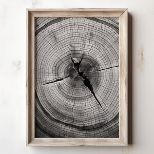 Tree Ring Printable Tree Stump Photo Woodcut Print Tree Ring Art Abstract Art Modern Neutral Wall Art Forestry Biology Wall Decor 136 image 1