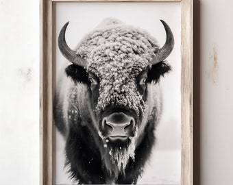 Vintage American Bison Portrait: Rustic Farmhouse Photo (Digital Download)