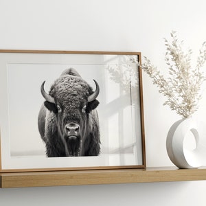 May include: A black and white photograph of a bison in a wooden frame, displayed on a wooden shelf with a white vase and dried flowers.