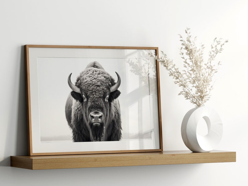 May include: A black and white photograph of a bison in a wooden frame, displayed on a wooden shelf with a white vase and dried flowers.