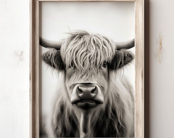 Scottish Highland Cattle Print: Vintage Farmhouse Photo (Digital Download)