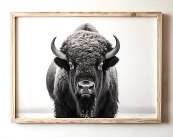 Vintage American Bison Portrait: Rustic Farmhouse Photo (Digital Download)