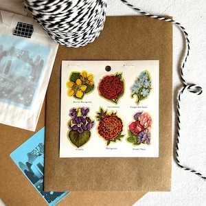 Sellos florales vintage Eureka EU 85849: claveles, nomeolvides, violetas, caléndulas y guisantes de olor. Pegatina de primavera para regalar a una amiga.