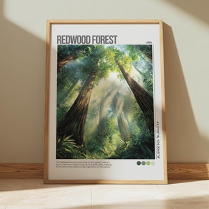 Sequoia Trees Painting National Park Art Print California Redwood Forest Poster Woodland Wall Art, Travel Poster, Wall Art Decor, Home Decor