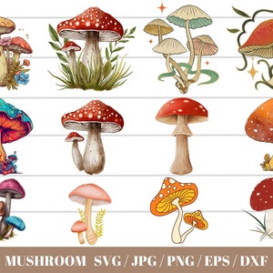 Mushroom Svg,Mushroom svg bundle,Mushroom Clipart,Mystical Moon Mushroom Svg,Magic mushroom svg,Boho Mushroom Clipart,mushroom shirt svg,Png