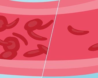 Blood Flow Vector Icon – Medical Anatomy Symbol (PNG, SVG, EPS)