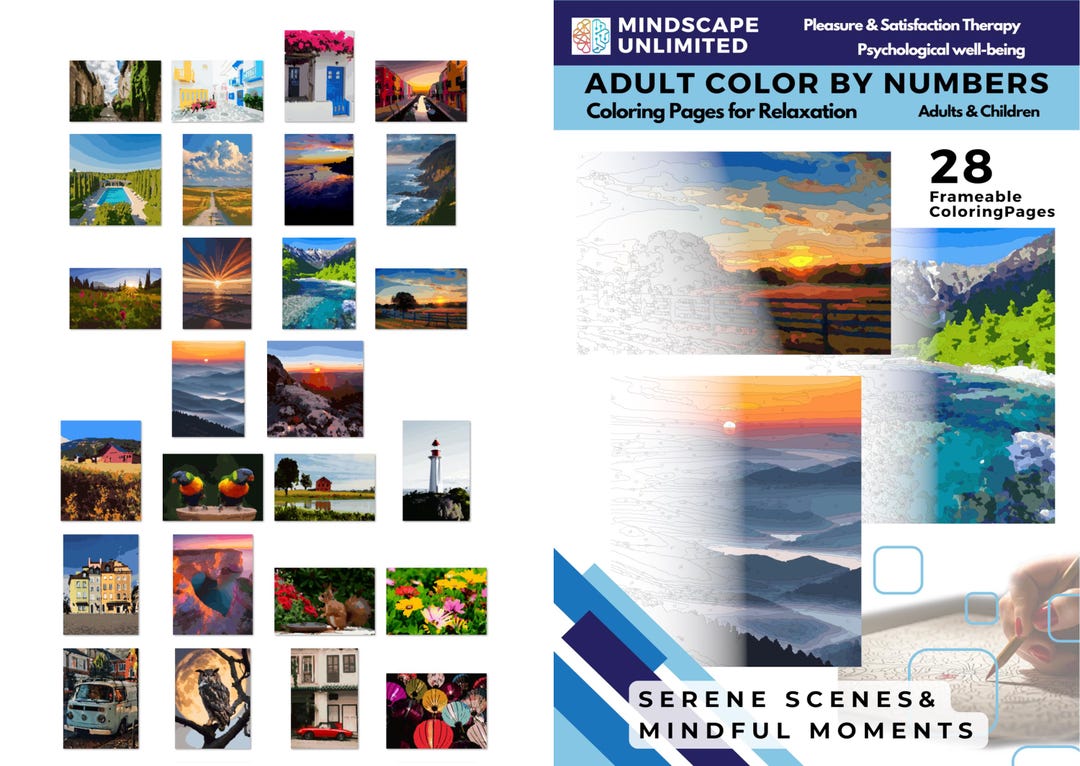 Adult Color by Numbers: Coloring for Relaxation, Therapy, Stress Relief ...