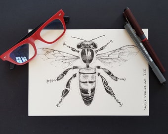 Echte Biene, limitierter Druck, Pointilismus, strukturiertes beiges Papier, Insekten, Stift und schwarze Tinte