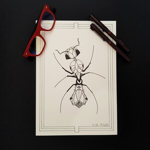 Antdeco, stampa in edizione limitata, richiesta speciale, carta beige strutturata, insetto, penna e inchiostro, punti, nero