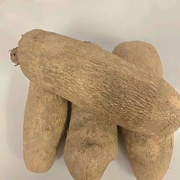 Fresh African Yam, Fresh Ghana Yam, Fresh Tubers of Yam, 7.5lbs (2 0r 3 Tubers of Yam