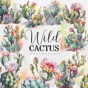 Cactus aquarelle clipart floral du désert png téléchargement numérique pour un usage commercial