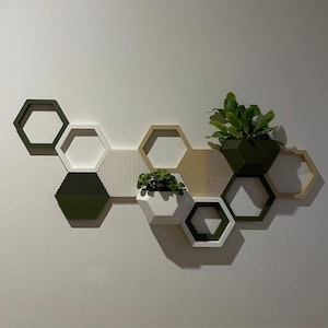 May include: A wall mounted hexagonal shelf unit with six compartments in various colours, including green, white, and beige. The shelves are decorated with potted plants.