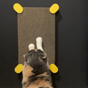 Griffoir pour chat en carton remplaçable par Catigo | Choix de 27 couleurs | griffoir pour animaux de compagnie moderne | Cadeau pour chat