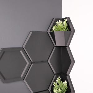 May include: Black hexagonal wall planters with artificial greenery. The planters are mounted on a grey wall in a honeycomb pattern. The geometric design adds a modern touch to the decor.