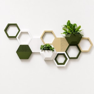Honeycomb Wall Planter Set, Hexagon Indoor Plant Pots, Modular Wall Plant Decor