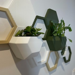 Könnte beinhalten: Ein Satz hexagonaler Wandbepflanzer in Weiß und Grün mit Pflanzen, die darin wachsen. Die Pflanzer sind in einem versetzten Muster an einer weißen Wand angeordnet.