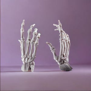 Bone Hand Wall Hook | Skeleton Hand with Back Mount | Skeleton Key Holder, Mug Hanger |  Customisable in many colors | 3D Printed