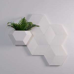 May include: White geometric wall planter with a green plant. The planter is hexagonal and has a modern, minimalist design. The plant adds a pop of colour against the white background. The planter is mounted on a white wall.