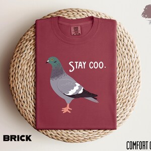 Stay Coo Comfort Colors Shirt, Funny Pigeon Tees, Cute Bird Silly Meme Saying, Cool Birding Motivate Gift, Sarcastic Slogan Comical Clothes