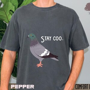Stay Coo Comfort Colors Shirt, Funny Pigeon Tees, Cute Bird Silly Meme Saying, Cool Birding Motivate Gift, Sarcastic Slogan Comical Clothes