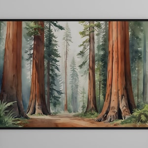 Redwood Forest Aquarell Wandkunst