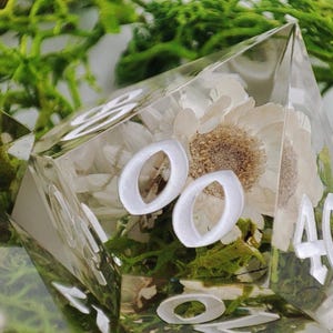 Può includere: Un dado in resina trasparente a più lati con numeri bianchi e un motivo floreale. Il dado contiene fiori bianchi e muschio verde. Il numero 00 è visibile su un lato e il numero 40 su un altro.