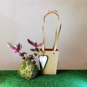 Kokedama-Partygeschenke