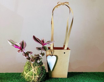 Recuerdos de fiesta de Kokedama