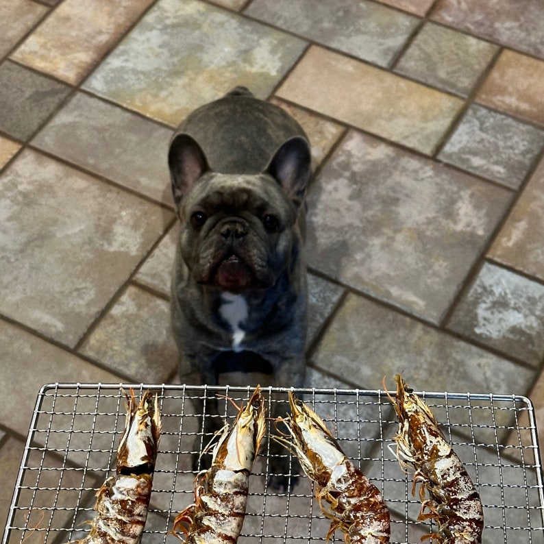 Dehydrated Whole Shrimp head On Dog Treat, Dehydrated Treat for Dogs