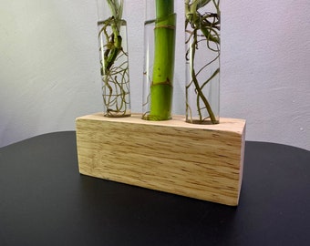 Plant Propagation Stand with Test Tubes