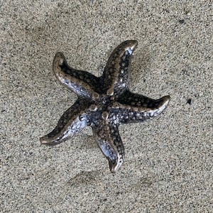 May include: A bronze-colored starfish ornament with a textured surface. The starfish is lying on a sandy surface.