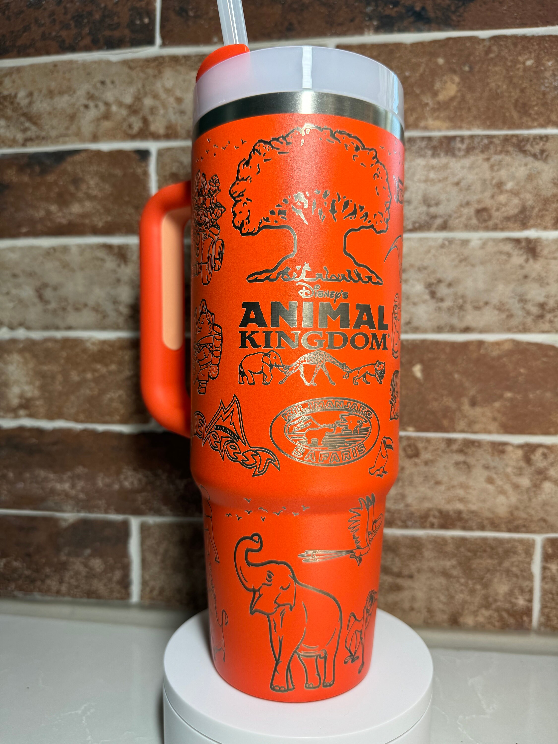 Disney Animal Kingdom Laser Engraved Stanley Tumbler | 30oz | 40oz