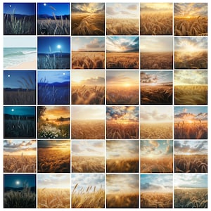May include: A collage of 36 images showcasing a range of scenes with a golden wheat field in the foreground. The images capture different times of day and weather conditions, including sunrise, sunset, cloudy skies, and starry nights.