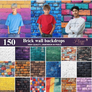 100+ Brick Wall Digital Backdrops, Photography Background for Portrait, Photo Studio Props, Different Patterns Backgrounds, digital download