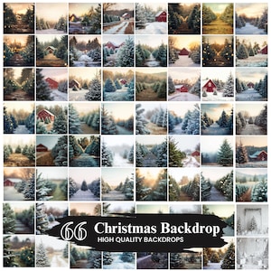 50+ Christmas Tree Farm Digital Backdrops, Winter Backdrop, Holiday Backdrops for kids, pine tree forest, Photo Overlay Festive Clip Art